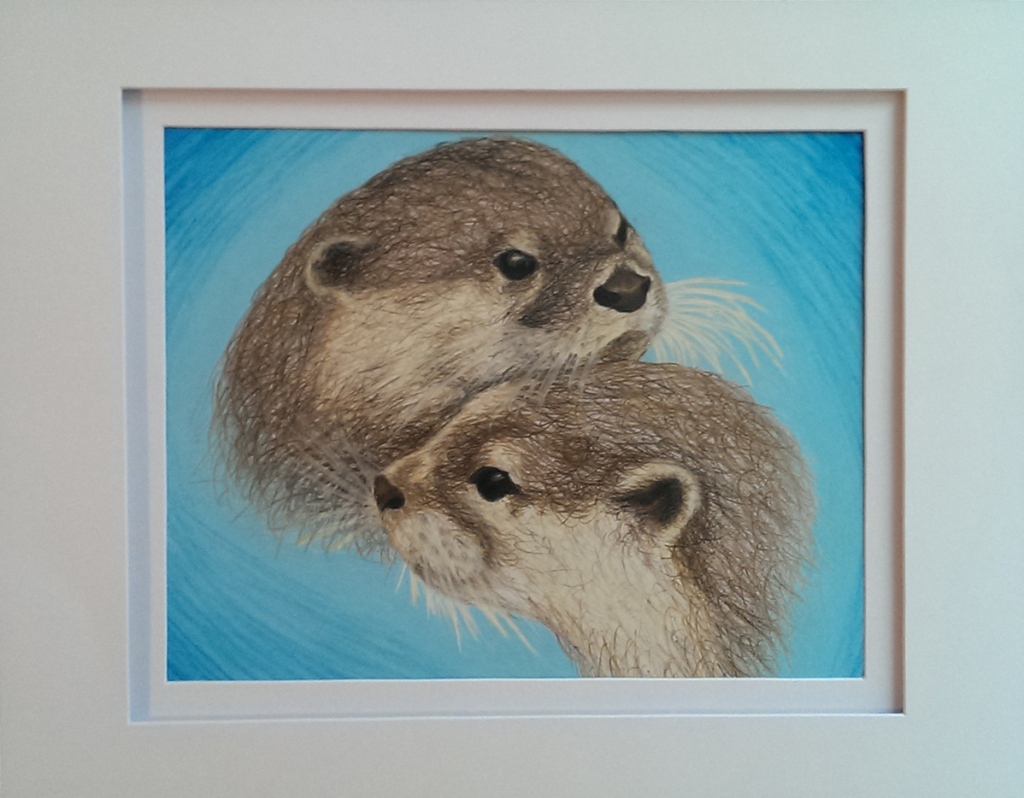 otter_drawing